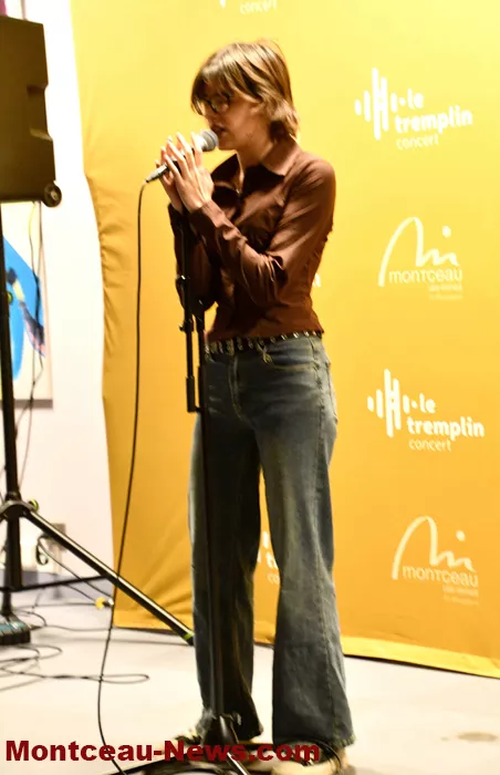 tremplin-1810266