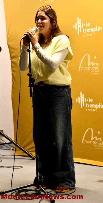 tremplin-1810269