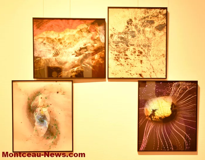 vernissage-herve-negre-2610261
