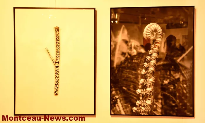 vernissage-herve-negre-26102612