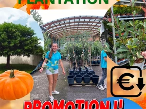 villaverde-081026