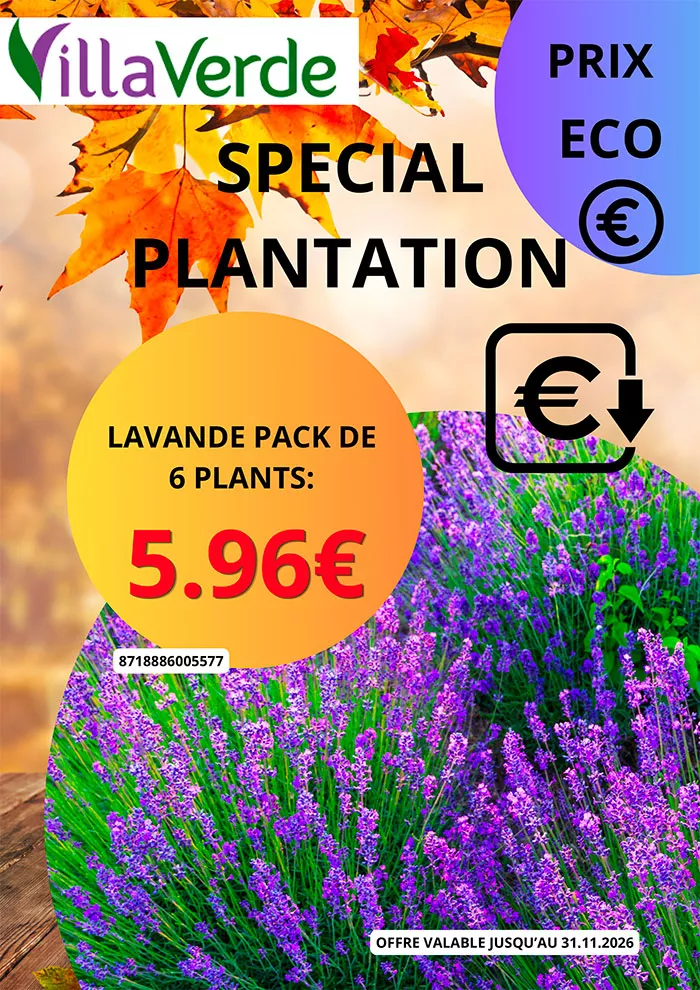 villaverde-0810261