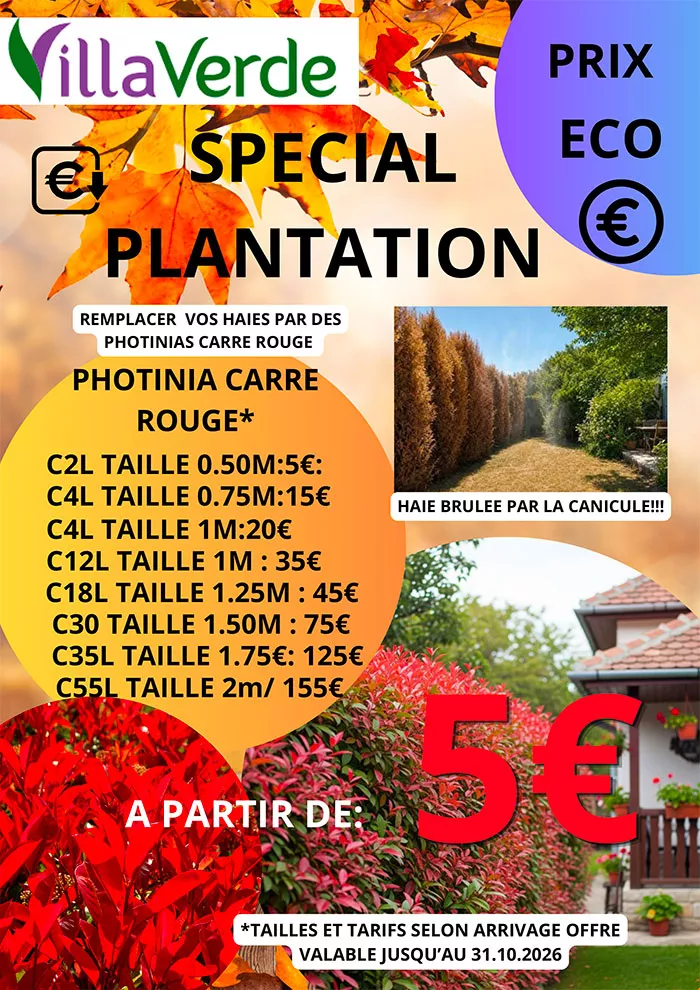 villaverde-0810266