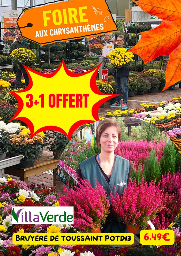 villaverde-2510262